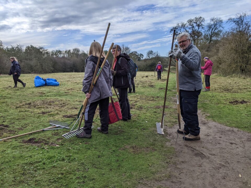 Clearing the Meadow