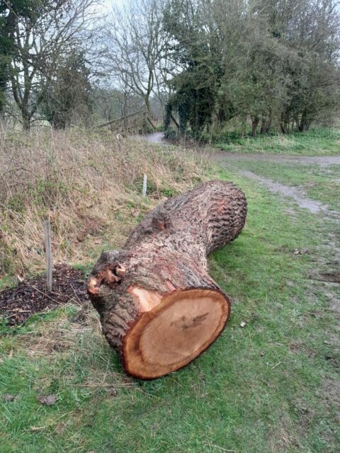 Log Benches