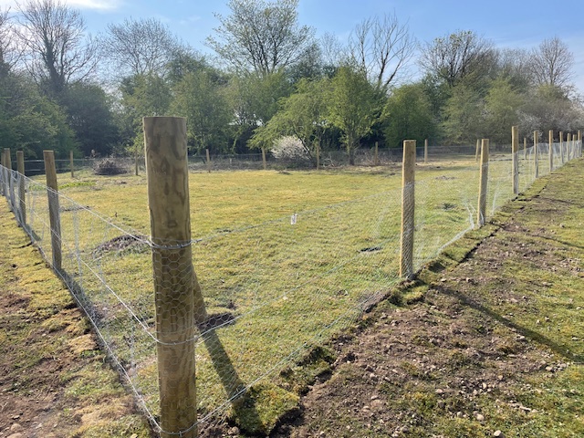 Update  - Woodmeadow Project